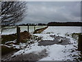 Footpath through snow covered fields