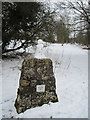 Skyline Map cairn at entrance to Oswestry Racecourse