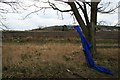 Blue overalls on a fence