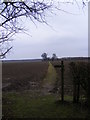 Footpath to Birch Farm