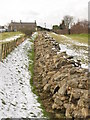 NZ1366 : Hadrian's Wall (9) by Mike Quinn