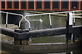 Grand Union Canal, Berkhamsted