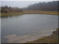 SK5498 : Pond on old pit site. by steven ruffles