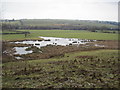 Pond near Lees Farm