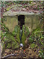 Gospel well Wadworth