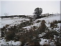 Unnamed Burn near Tedcastle