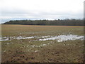 TQ9834 : Muddy field near Apsley Wood by David Anstiss