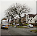 Tree cutting on St Julians Road, Newport