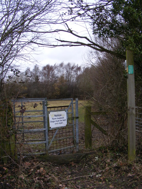 Footpath to Moor Road