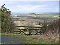 SX6694 : Gate onto farmland near Trundlebeer by Sarah Charlesworth