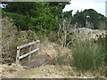 Footbridge in Hurn Forest