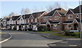 Hollyhock Close, Rogerstone