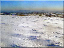 SO2656 : Snow-covered plateau on Hergest Ridge by Trevor Rickard