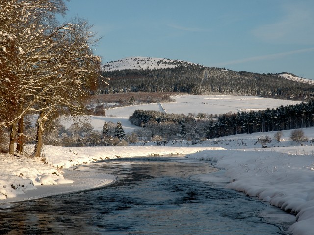 River Don in Winter