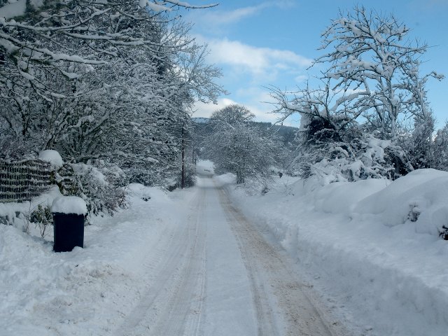 Winter Road Near Birks Burn