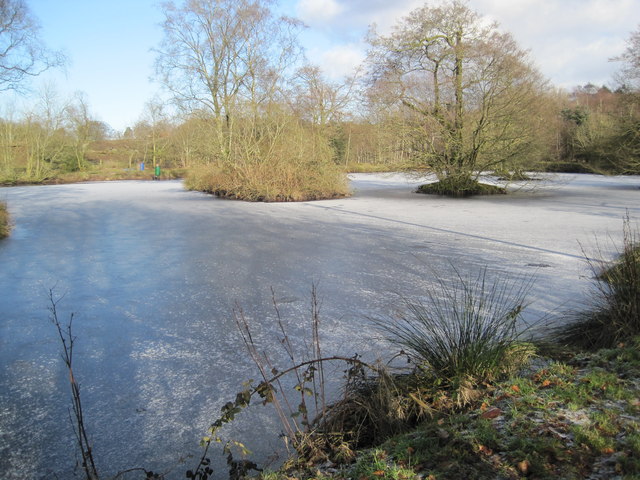 Frozen Pond at Cracrop Farm