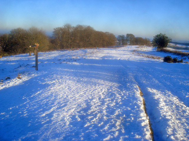 Offa's Dyke Path near Yeld Wood