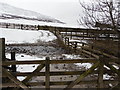 Sheep Pens and Ford on the Fastheugh West Burn