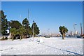 SZ6299 : Gosport under snow - Falkland Gardens (2) by Barry Shimmon