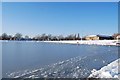 Frozen over model boating lake in Walpole Park (2)