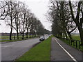 Knavesmire Road - Tadcaster Road