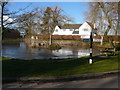 Frozen village pond at Stockwell Heath