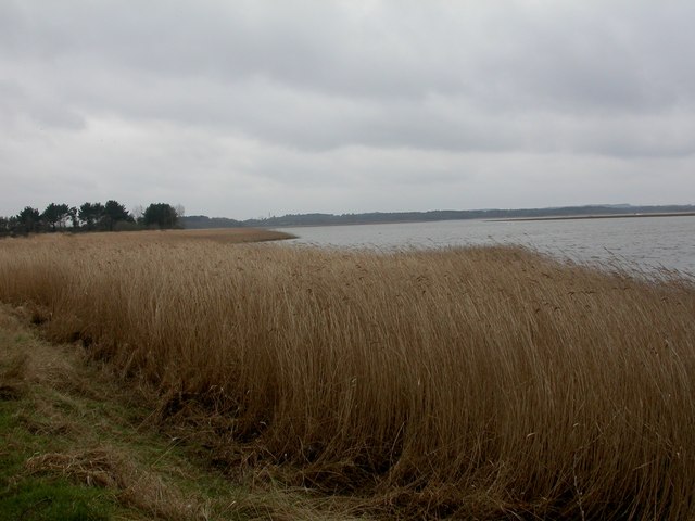 Turlin Moor, Lytchett Bay © Mike Faherty :: Geograph Britain and Ireland