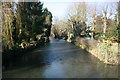 River Darent, Shoreham: downstream