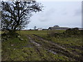 Muddy track through fields at  Dryhurst Farm