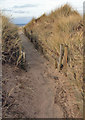 NX4303 : Path to the beach by Andy Stephenson