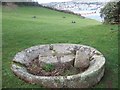 An apple crusher, Shaldon