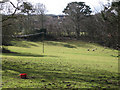 Sheep in a field near Mile End housing