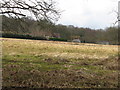 Roundabouts Farm from bridleway through River Common