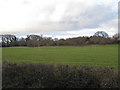 SX8472 : Sports field by the A382 by Robin Stott