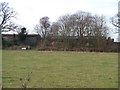 Barns at Depot Lodge