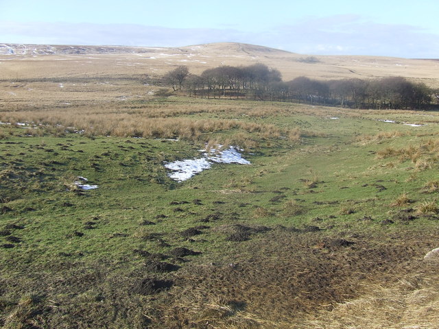 Moorland landscape near Tockholes