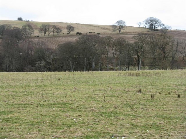 The Valley of the Cowie Water