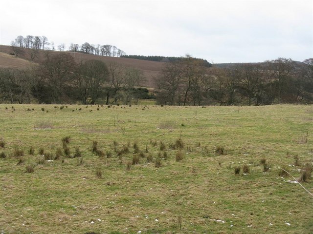 The Cowie Water valley