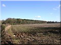 Wayfield Gorse