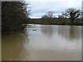 Lake next to River Park Farm