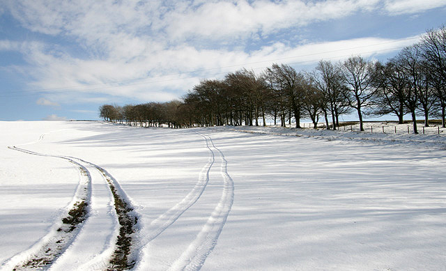A snow-covered field at Smedheugh