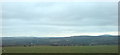 Grazing sheep in the Preseli foothills