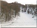 Woodland, Creag an Fhithich