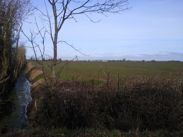 Drainage Ditch, Co Meath