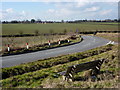 Bench by the lane to Combs