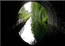 SP0585 : Edgbaston Tunnel, Birmingham by Roger  Kidd