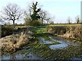 Bridleway from Newth