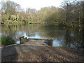 Shirley Pond Park, pond