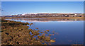 Newshot Island Inlet, River Clyde