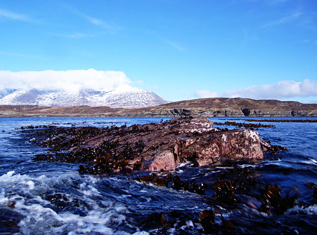 An Coileach at very low tide